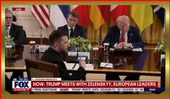 2025-08-18 at 8.16.07.jpeg